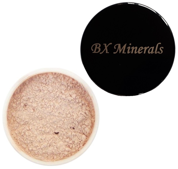 BX Minerals Bisk Concealer